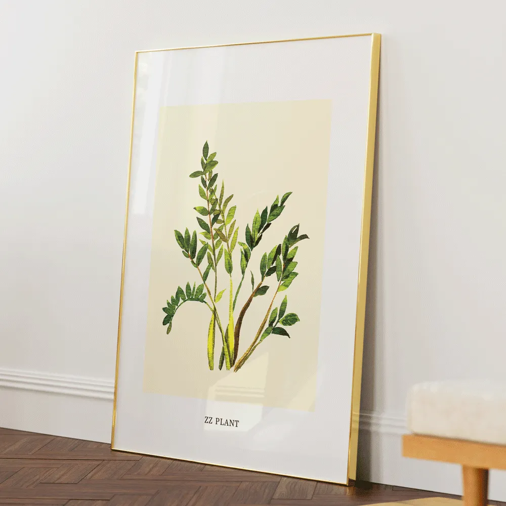ZZ Plant
